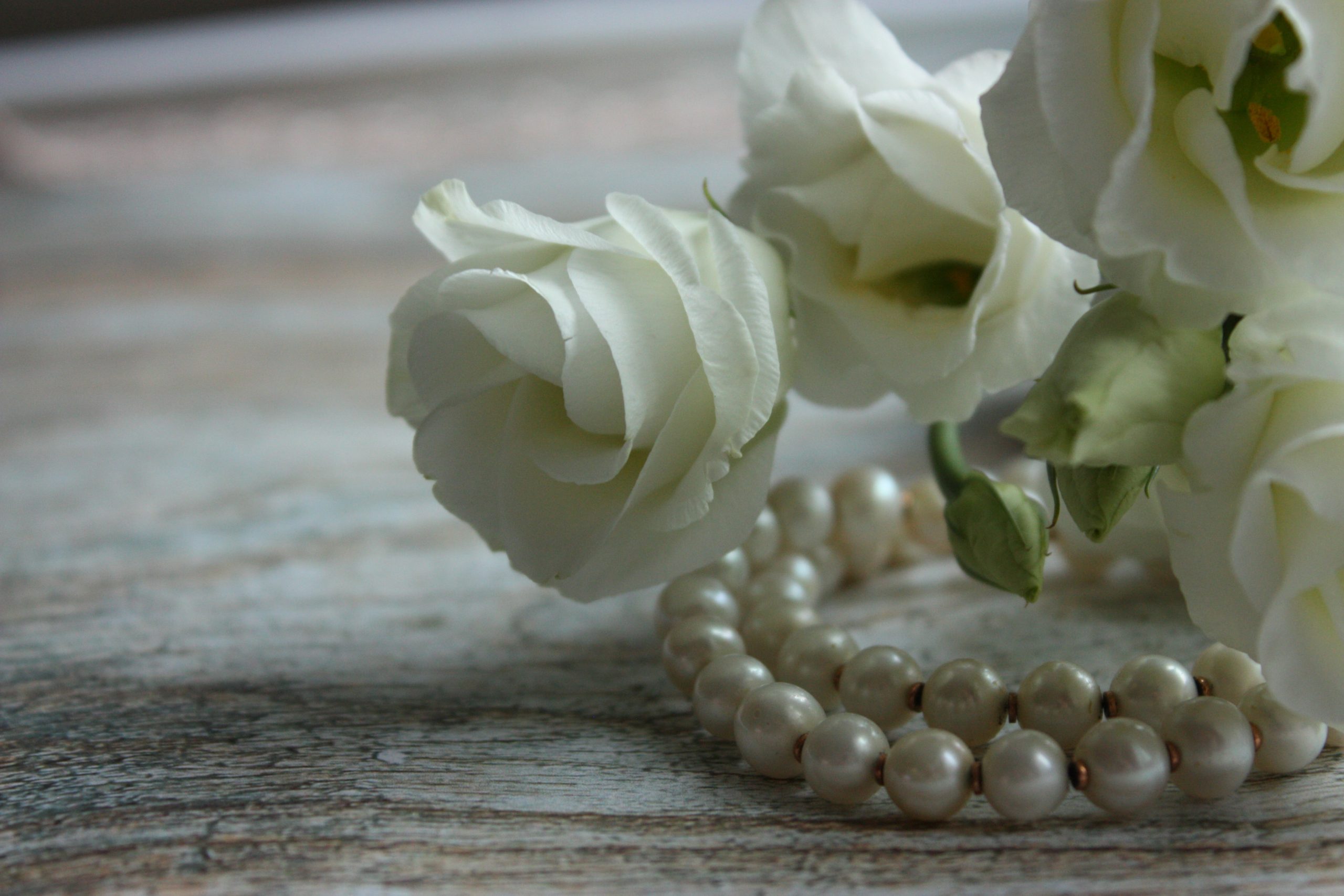 pearls and white roses